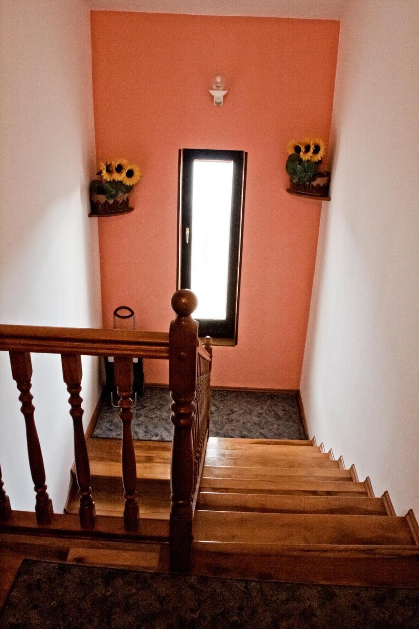Ap Silvija Apartment Zadar Bagian luar foto