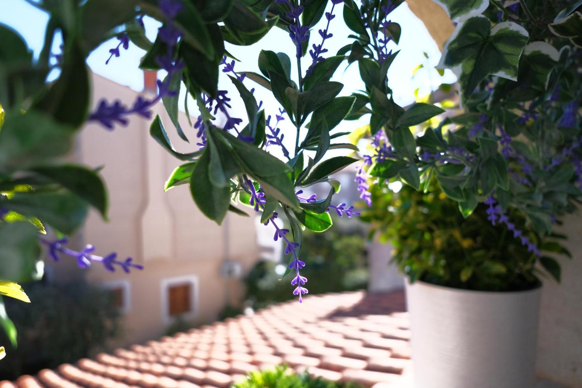 Ap Silvija Apartment Zadar Bagian luar foto
